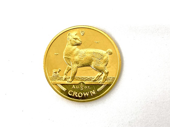 お知らせの画像